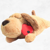 FYNTER™ CalmCuddle